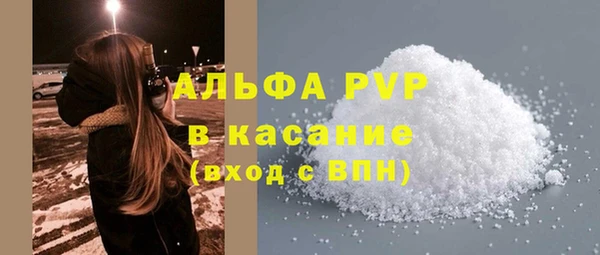 хмурый Верея