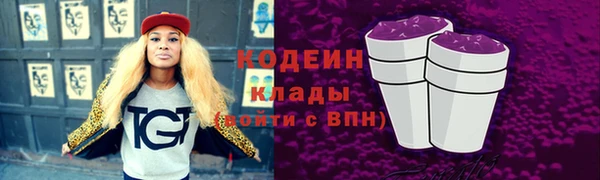 хмурый Верея