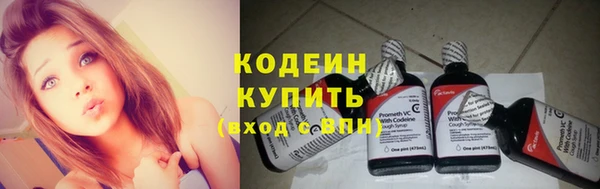 хмурый Верея