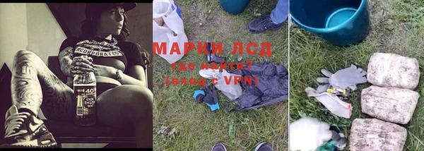 a pvp Бородино