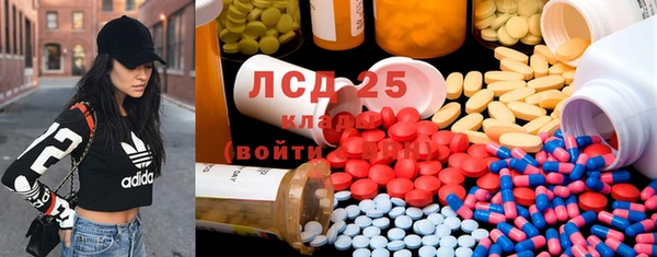 хмурый Верея