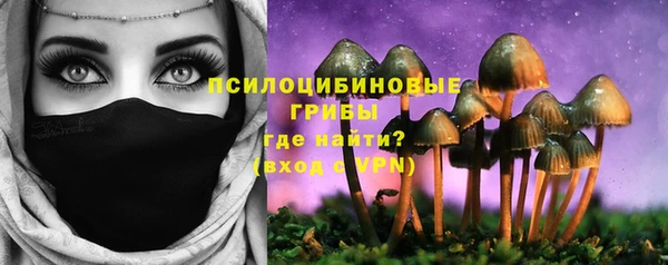 хмурый Верея
